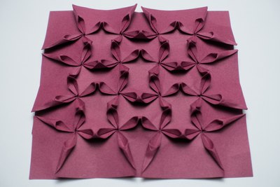 Clematis Tessellation (Michał Kosmulski)