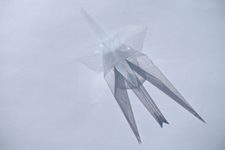 Traditional Crane from book wrapping foil