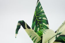 Folding a Wax Wrapper (Woskowijka)