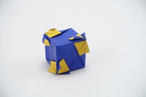 Cube made from the unit