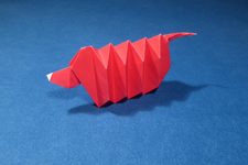 Dachshund