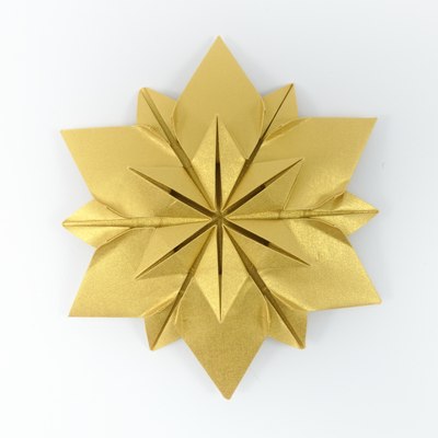 Daffodil, CFW 97 (Shuzo Fujimoto), front