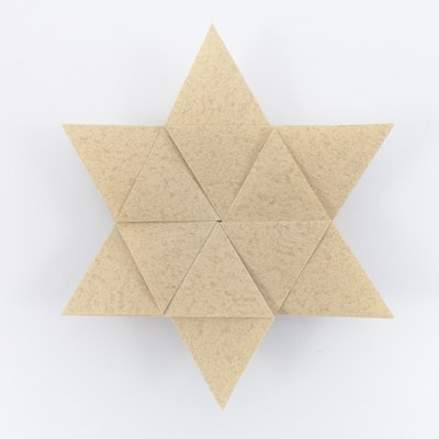 Daffodil Variant, CFW 409 (Shuzo Fujimoto), back