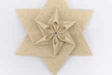 Daffodil Variant B (CFW 409)