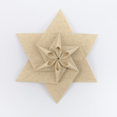 Daffodil Variant, CFW 409 (Shuzo Fujimoto), front