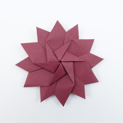 Dahlia, CFW 144 (Shuzo Fujimoto): front