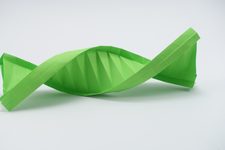 DNA