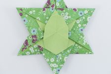 Frog Star