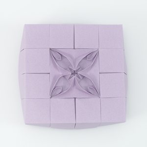 Top-down view