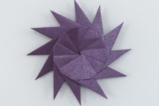 Hedgehog Star I