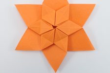 Hex Twist Star (CFW 104)