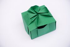 Hinged Shamrock Box