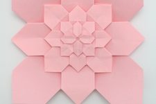 Hydrangea