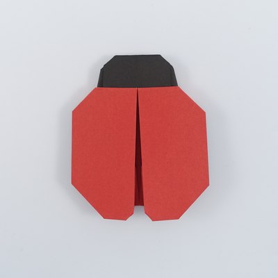 Ladybug 1.1 (Michał Kosmulski, Sara Adams)