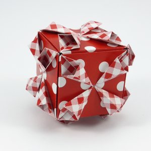 Usage Example: Cube