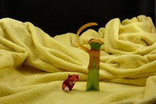 The Little Prince and the Fox