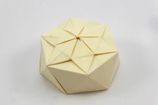 Splendorgel Paper Review