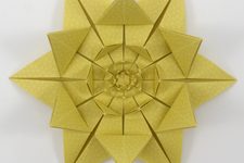Edokosome Paper Review