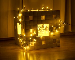 State in January 2023, wrapped in Christmas lights