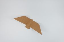 MinBird II