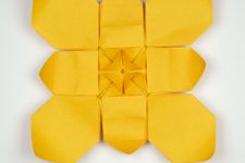 Mini-Sunflower