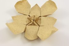 Mini Sunflower (Kaiser paper)
