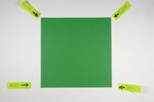 No-Fold Stegosaurus