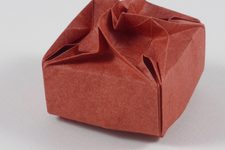 Nuclear Flower Box