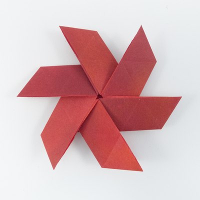 Petals, CFW 85 (Shuzo Fujimoto), back