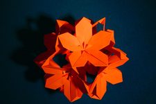 Poinsettia Ball
