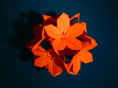 Poinsettia Ball (Meenakshi Mukerji)