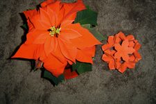 Poinsettia Ball