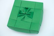Shamrock 1.1 Box (Refold)