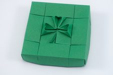 Shamrock 1.1 Box
