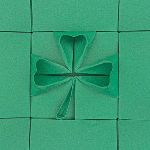 Close-up of the shamrock molecule