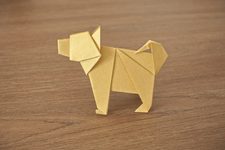 Shiba Inu