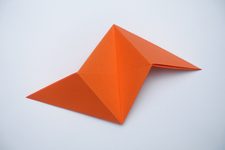Sonobe unit