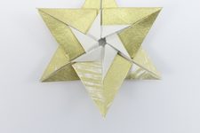 Star a la Fujimoto I