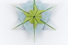 Star a la Fujimoto II