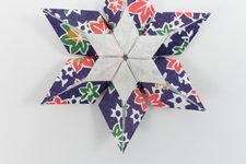 Star a la Fujimoto III (variant D)