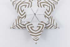 Star a la Fujimoto III (striped paper)