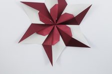 Star Ananke (variant G)