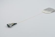 Tea Tag Airplane
