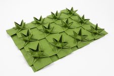 Tessellated Anuradha