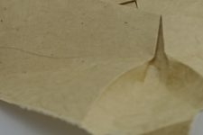 Ogura Paper Review