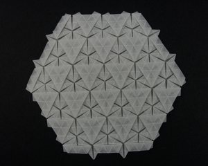 Back, dark background