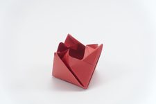 Tulip Box
