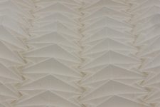 Tympanum Corrugation