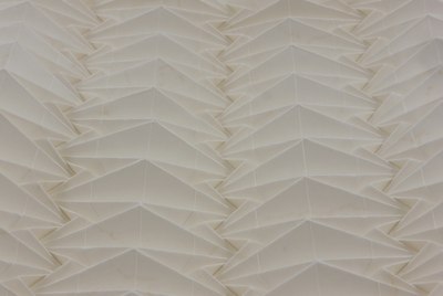 Tympanum Corrugation (Michał Kosmulski)