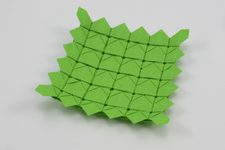 Unripe Sunflower Tessellation